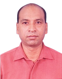 portfolio1